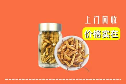 收购资讯:邯郸邯山区回收散虫草