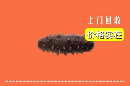 收购资讯:邯郸邯山区回收海参