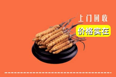 收购资讯:邯郸邯山区回收冬虫夏草