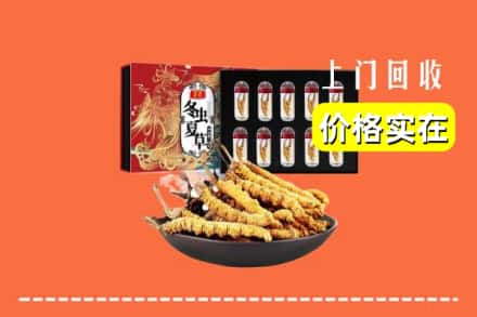 邯郸邯山区回收虫草